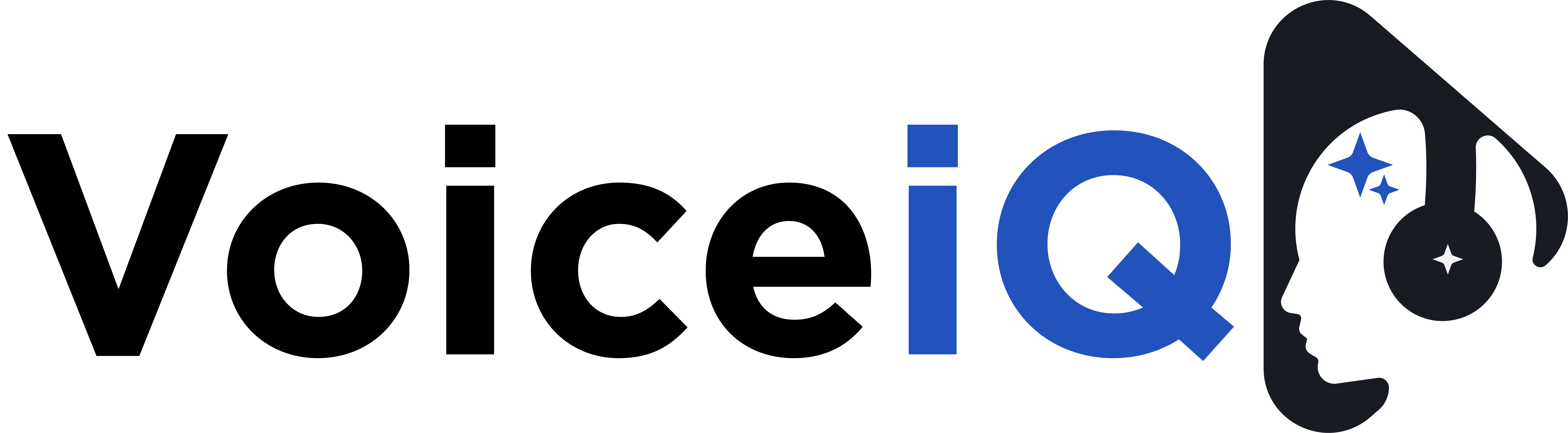 VoiceiQ